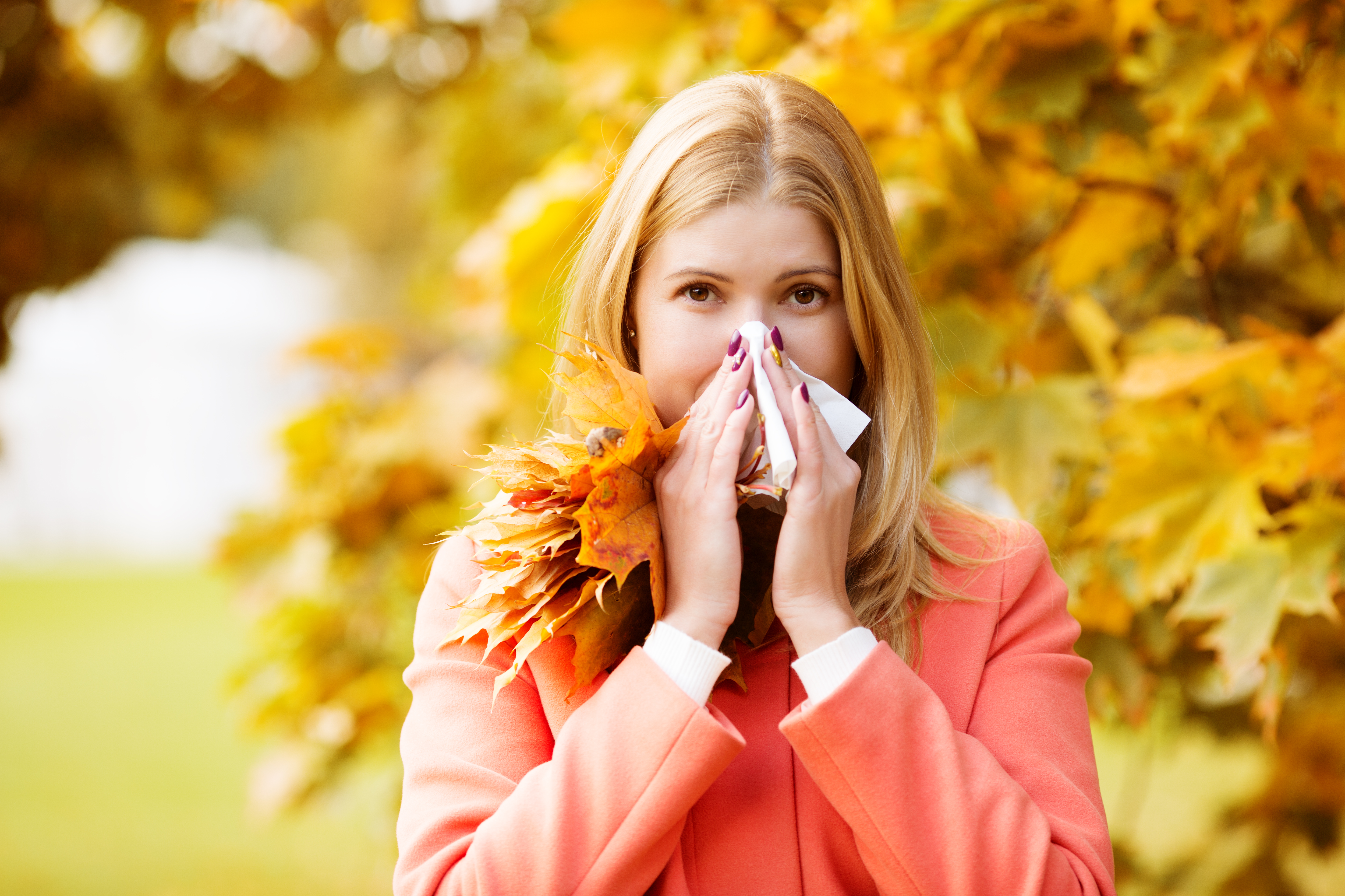 fall eye allergies
